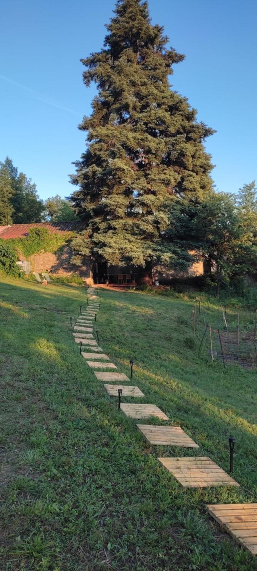 O Nature