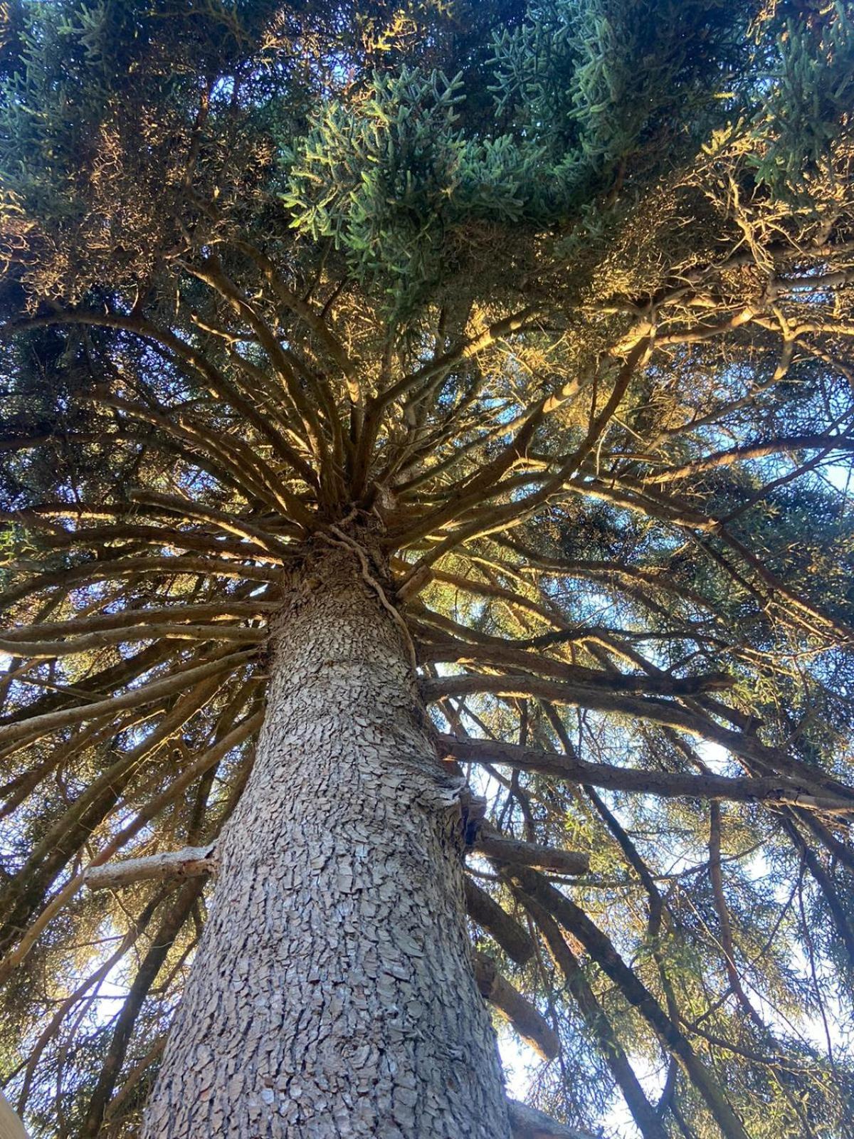 O Nature Hébergement de vacances *